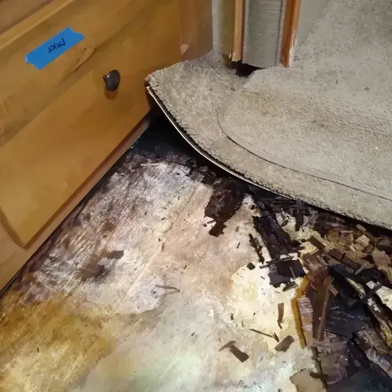 Wood Floor Water Damage in Gillette, WY